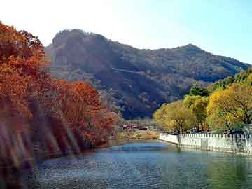 新澳天天开奖资料大全旅游团，醋酸丁酯